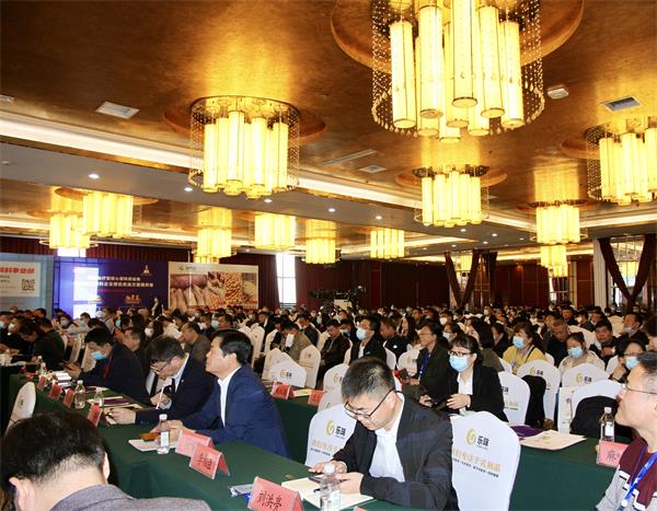 k豆钱包官方网站 - KDpay钱包