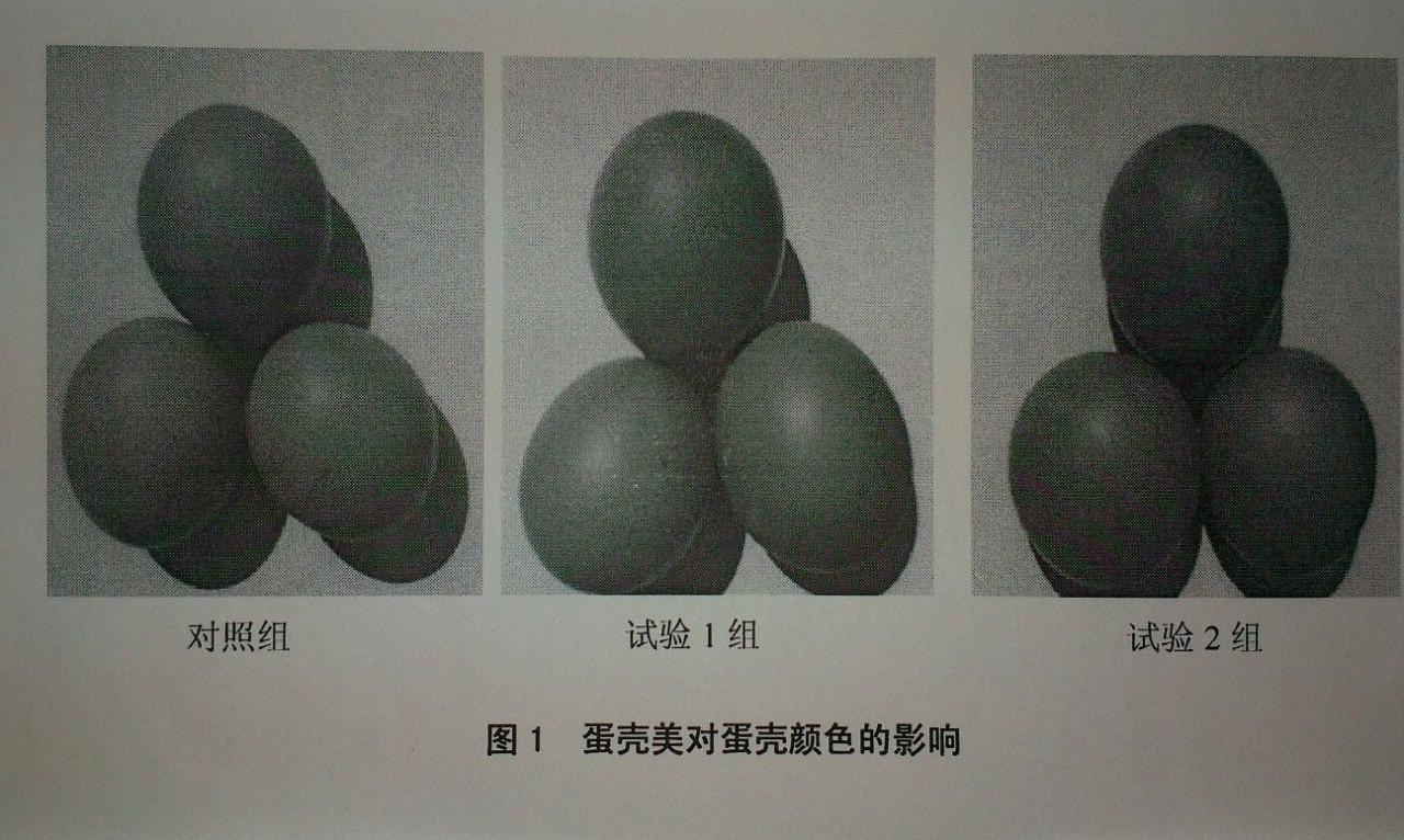 k豆钱包官方网站 - KDpay钱包