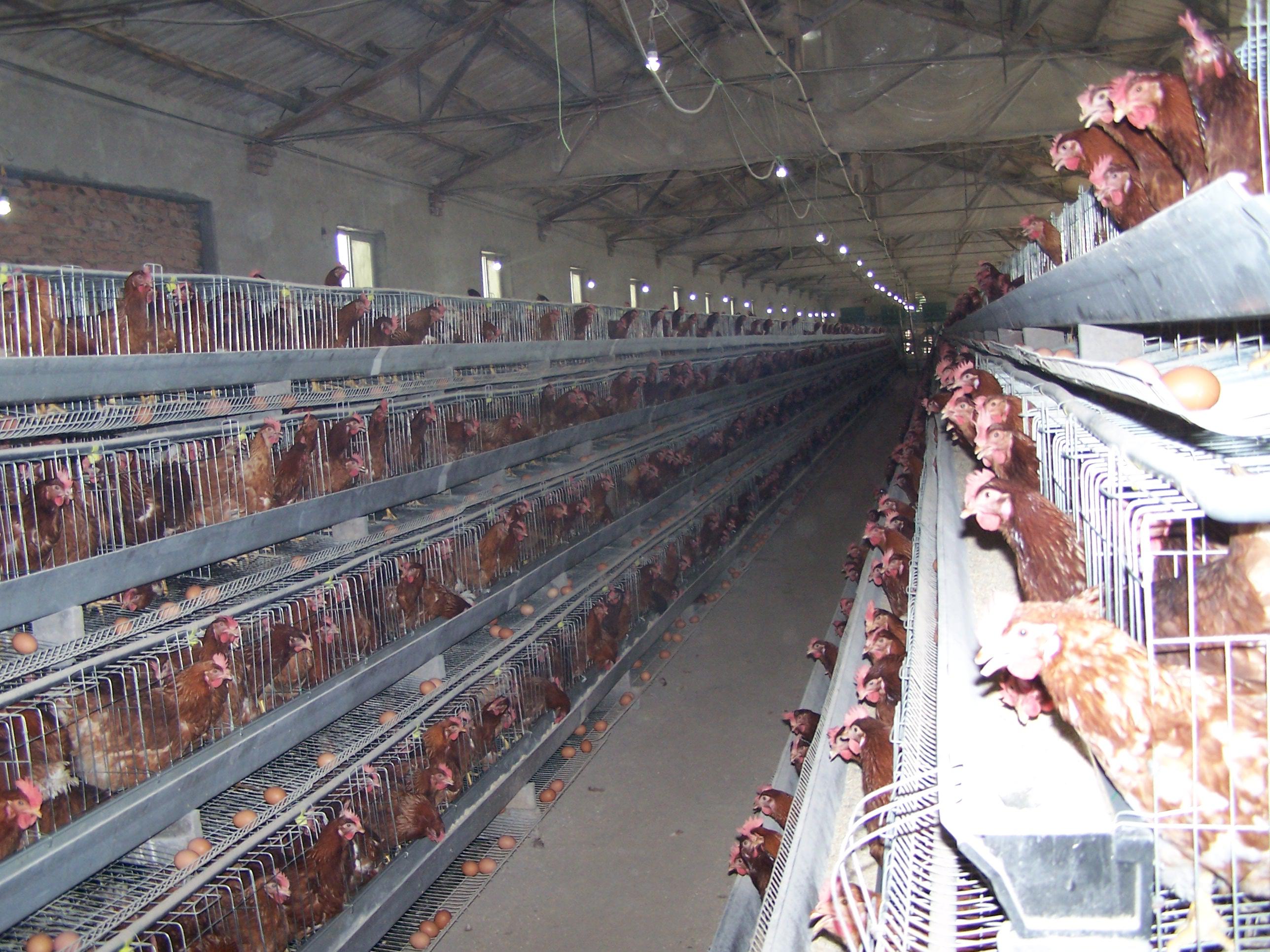 k豆钱包官方网站 - KDpay钱包