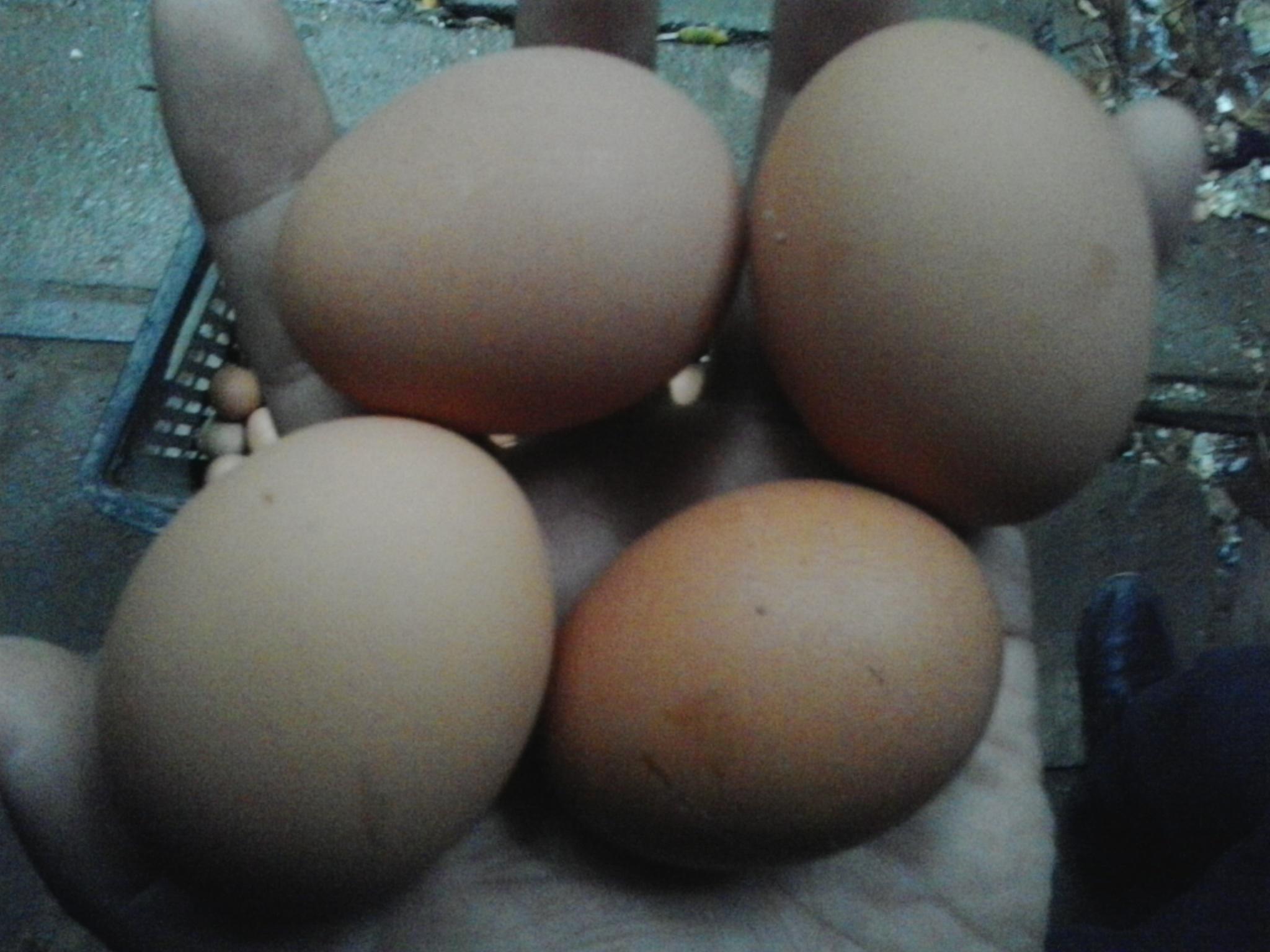 k豆钱包官方网站 - KDpay钱包