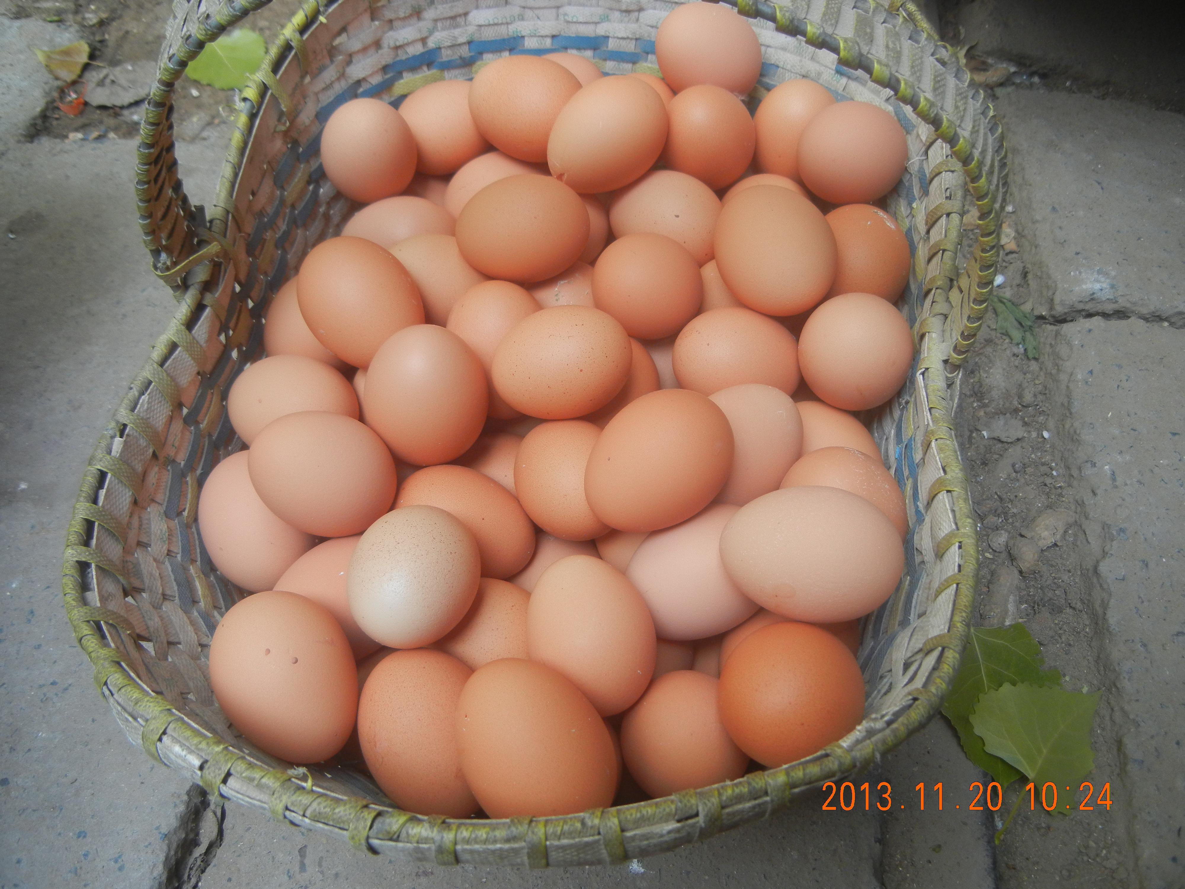 k豆钱包官方网站 - KDpay钱包