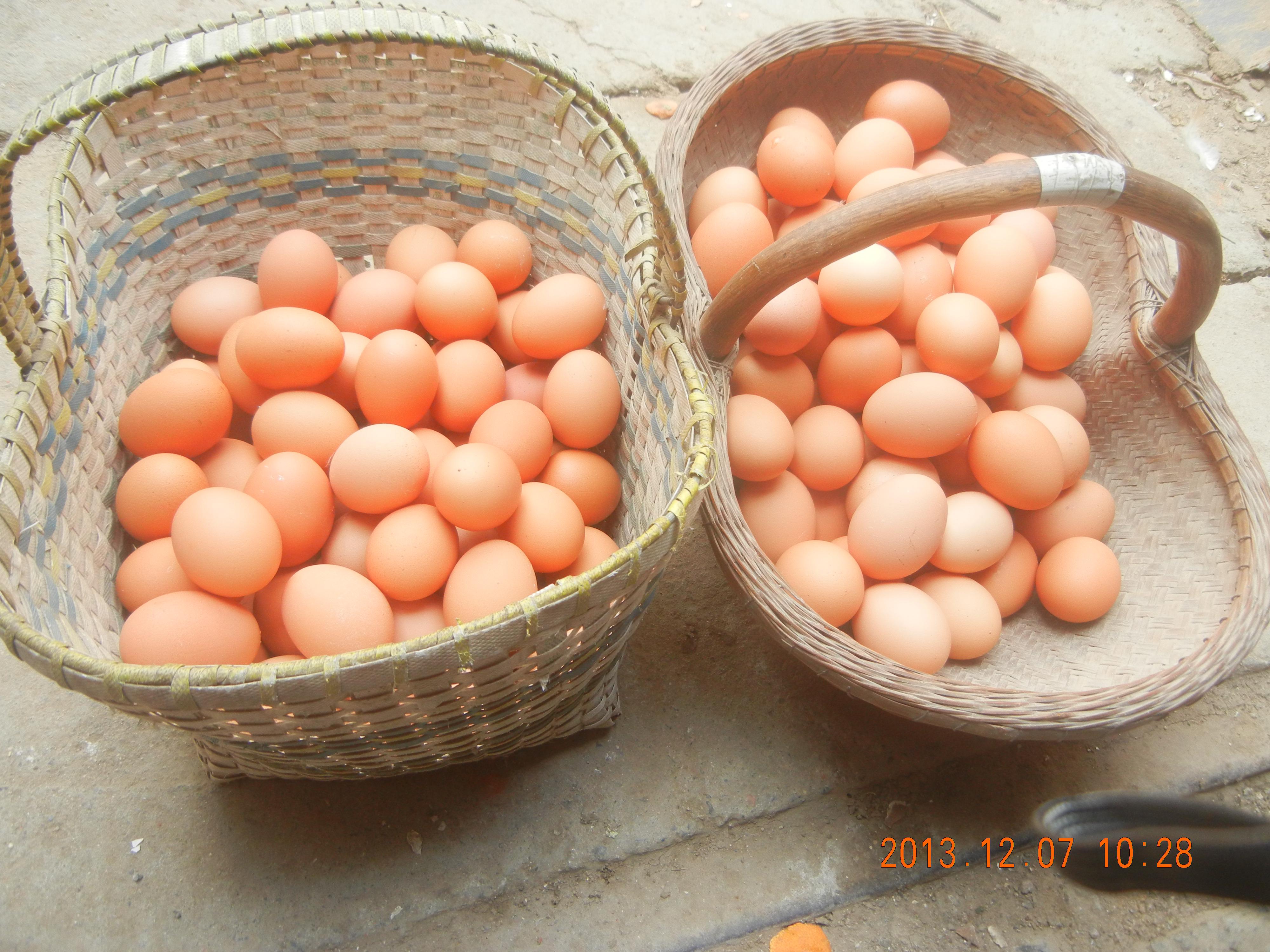 k豆钱包官方网站 - KDpay钱包