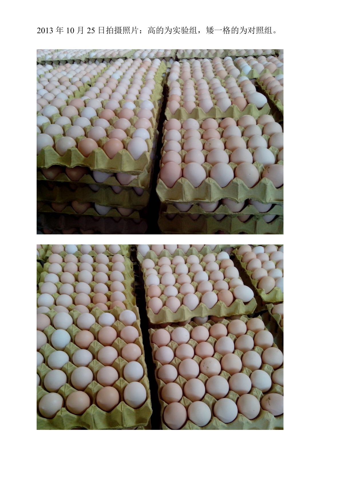 k豆钱包官方网站 - KDpay钱包