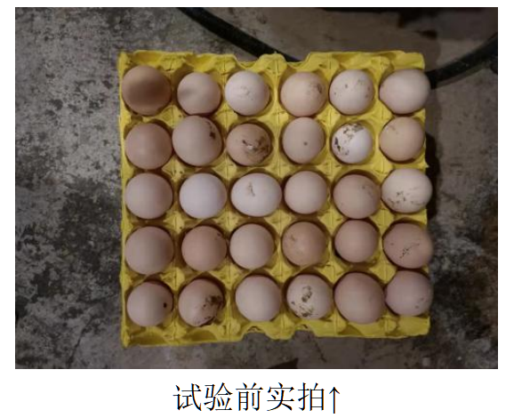 k豆钱包官方网站 - KDpay钱包