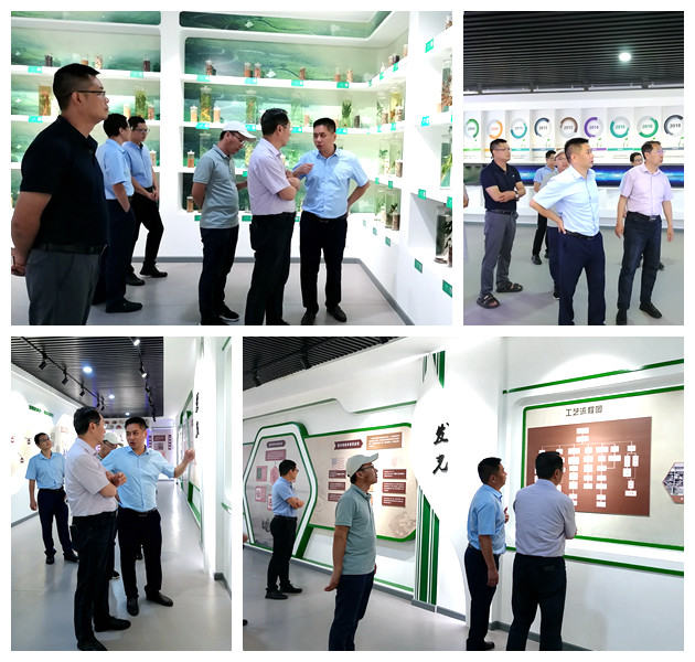 k豆钱包官方网站 - KDpay钱包